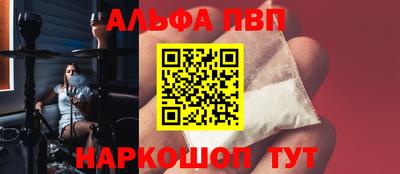 скорость Кингисепп