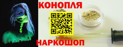 скорость Кингисепп