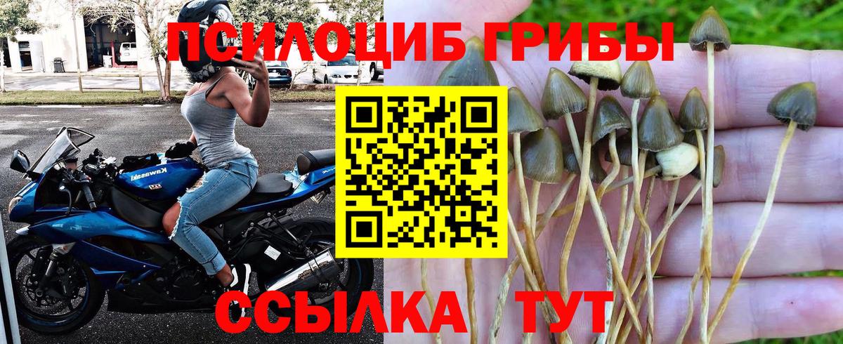 Псилоцибиновые грибы мухоморы  Галлюциногенные грибы MAGIC MUSHROOMS  Вход с VPN  Шахты 