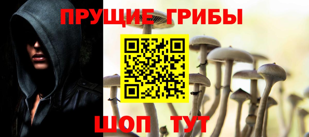Псилоцибиновые грибы Psilocybine cubensis Шахты